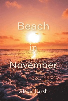 Beach in November 1