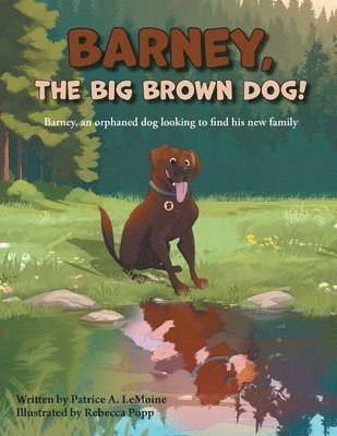 Barney, The Big Brown Dog! 1