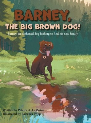 Barney, The Big Brown Dog! 1