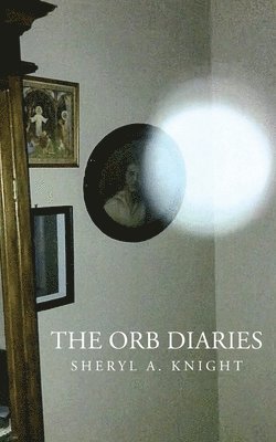 bokomslag The Orb Diaries