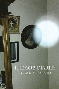 bokomslag Orb Diaries