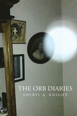 bokomslag The Orb Diaries