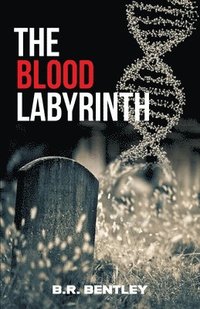 bokomslag The Blood Labyrinth