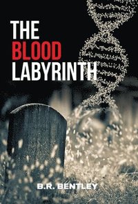 bokomslag The Blood Labyrinth