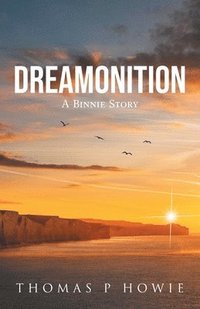 bokomslag Dreamonition