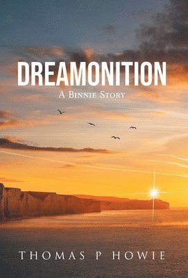 bokomslag Dreamonition