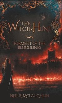 bokomslag Witch-Hunt