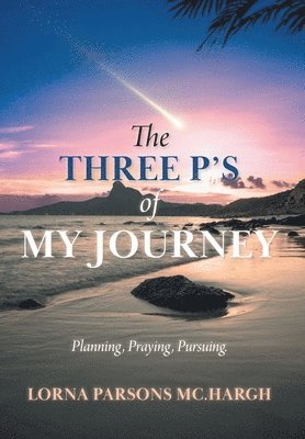bokomslag The Three P's of My Journey: Planning, Praying, Pursuing.