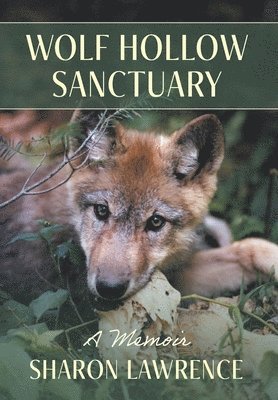 bokomslag Wolf Hollow Sanctuary