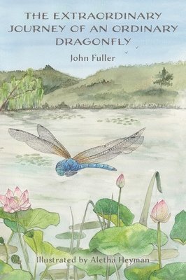 bokomslag The Extraordinary Journey of an Ordinary Dragonfly