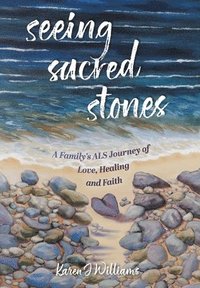 bokomslag Seeing Sacred Stones