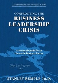 bokomslag Confronting the Business Leadership Crisis