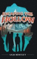 bokomslag Escaping the Hollow