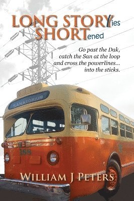 bokomslag Long Stories Shortened