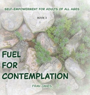 Fuel for Contemplation 1