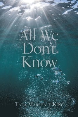 bokomslag All We Don't Know