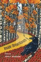 Inside Dreamlands 1