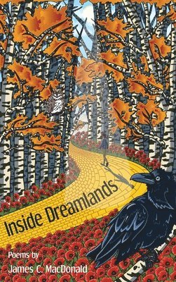 bokomslag Inside Dreamlands