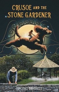 bokomslag Crusoe and the Stone Gardener