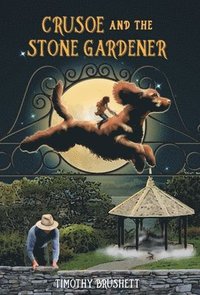 bokomslag Crusoe and the Stone Gardener