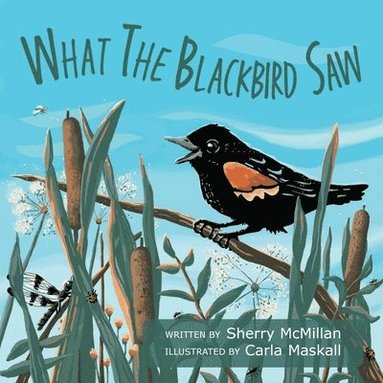 bokomslag What the Blackbird Saw