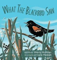 bokomslag What the Blackbird Saw
