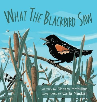 bokomslag What the Blackbird Saw