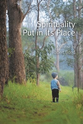 bokomslag Spirituality Put in Its Place