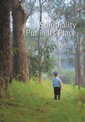 bokomslag Spirituality Put in Its Place
