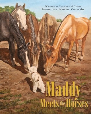 bokomslag Maddy Meets the Horses