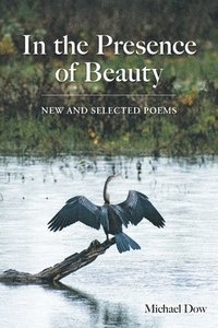 bokomslag In the Presence of Beauty