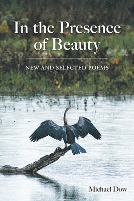 bokomslag In the Presence of Beauty