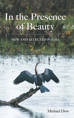 bokomslag In the Presence of Beauty