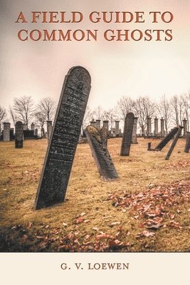 Field Guide to Common Ghosts