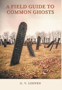 bokomslag Field Guide to Common Ghosts
