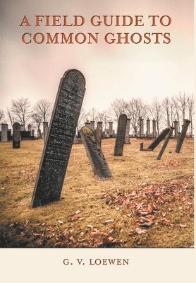 bokomslag Field Guide to Common Ghosts