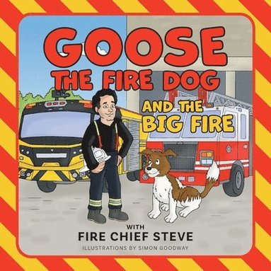 Steve Serbic - Big Fire, Häftad