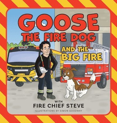 Steve Serbic - Big Fire, Inbunden