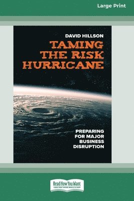 bokomslag Taming the Risk Hurricane