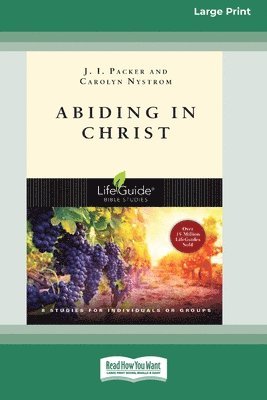 bokomslag Abiding in Christ (16pt Large Print Format)