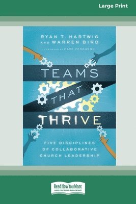 bokomslag Teams That Thrive