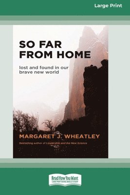 So Far from Home (16pt Large Print Format) 1