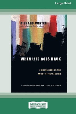 bokomslag When Life Goes Dark: Finding Hope in the Midst of Depression (16pt Large Print Format)