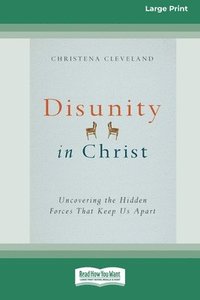 bokomslag Disunity in Christ