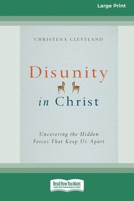 bokomslag Disunity in Christ