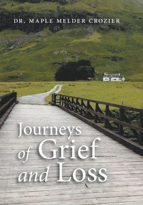 bokomslag Journeys of Grief and Loss