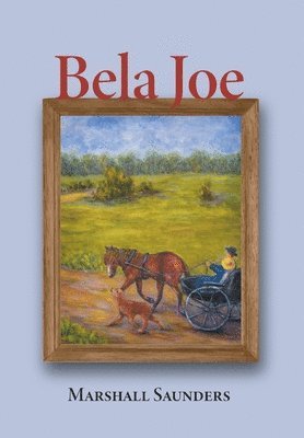 Bela Joe 1