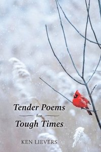 bokomslag Tender Poems for Tough Times