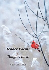 bokomslag Tender Poems for Tough Times