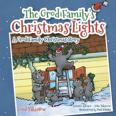bokomslag Grod Family's Christmas Lights